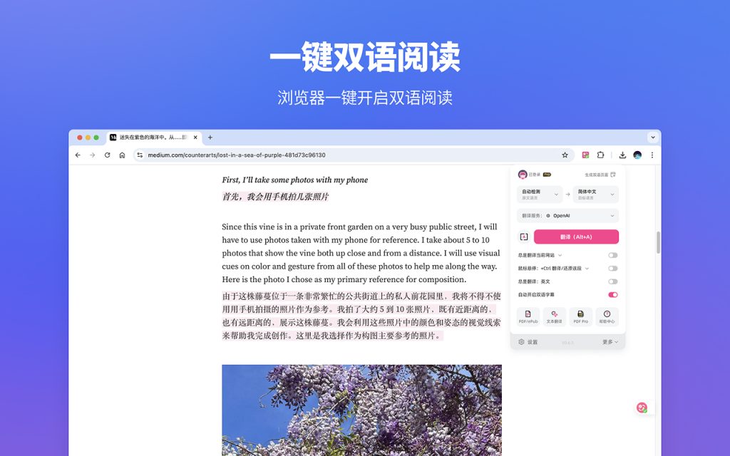 图片[3]|🔥告别语言壁垒！这款AI神器让全网内容秒变双语天堂✨ 浏览器扩展翻译插件  沉浸式翻译 – 网页翻译插件 | PDF翻译 | 免费|福利之家